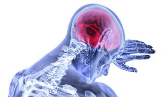 brain-3168269__340.png