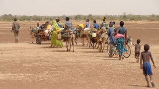 migration-2698946__340.jpg